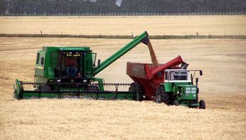 Producción de trigo en E. Ríos creció un 147%