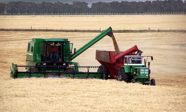 Producción de trigo en E. Ríos creció un 147%