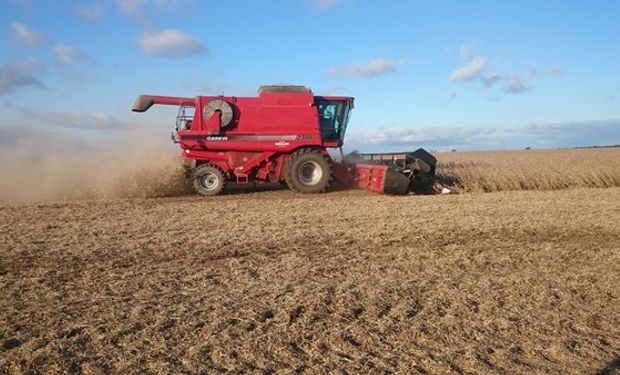 En algunos campos de Gral. Villegas, Trenque Lauquen y Gral. Pico los rindes promedio de soja de primera y de segunda llegaron a 40 y 38 qq/ha respectivamente.