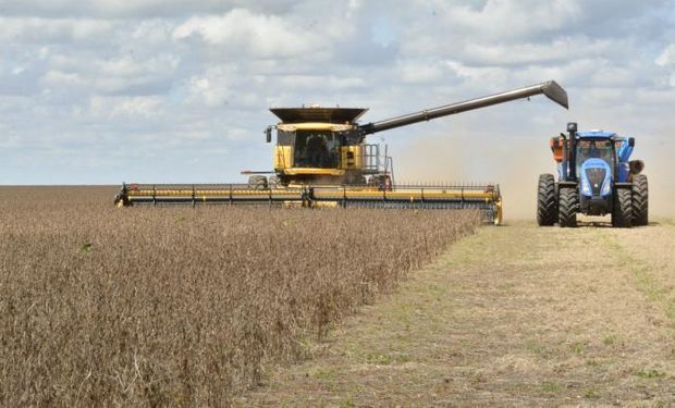 El agro en Brasil durante 2020: estiman una producción total de 145,59 mil millones de dólares