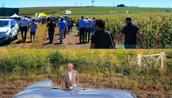 Más de US$ 80 por hectárea: el nuevo costo que se suma a la siembra y la frase de Fangio que aplica al agro en Argentina