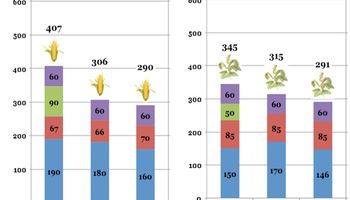 La agricultura tradicional ya no es competitiva en el NOA