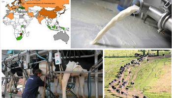 ¿Qué país tiene los menores costos de producción lechera?