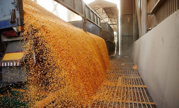 Conab eleva previsão da safra de grãos a 270,2 milhões de toneladas