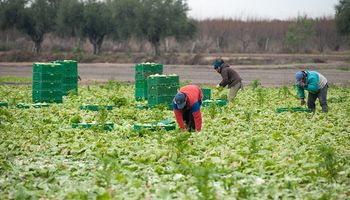 ¿Qué debe tener en cuenta un empleador frente a una denuncia de Covid-19 por parte de los trabajadores? 