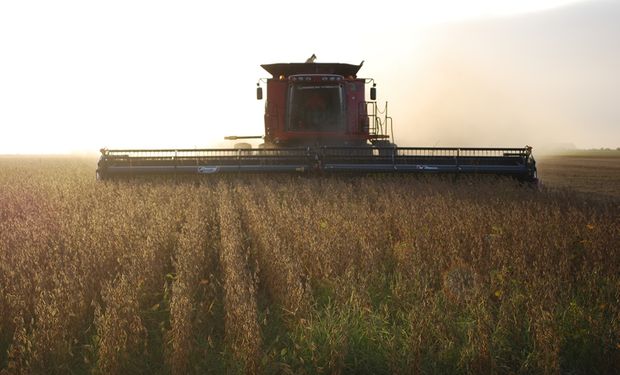 Impacto PBI, cómo afecta y el aporte agro