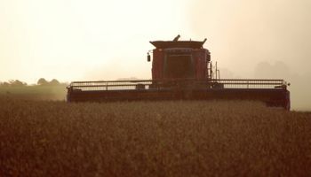 El precio de la soja subió y se reactivaron los negocios