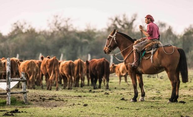 Una entidad del campo judicializó el bono de $ 60.000: “Genera impacto negativo en el sector”