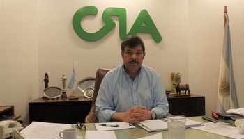 Entidades del agro defienden un incentivo para los novillos