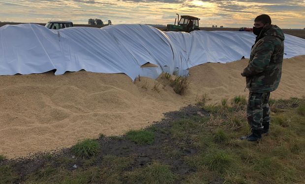 Con la rotura de 125 silobolsas, se perdió el equivalente al alimento para 673.000 chicos