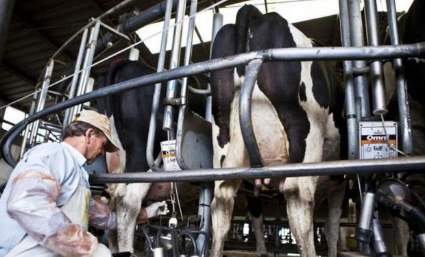 La sobreoferta de leche ya comenzó profundizará las dificultades actuales de la lechería.