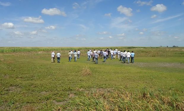 Entregó un lote agrícola a sus empleados del campo para que entiendan la naturaleza del negocio: "Ayudó a construir confianza”