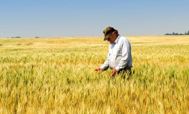 Productor agropecuario: un oficio a cielo abierto.