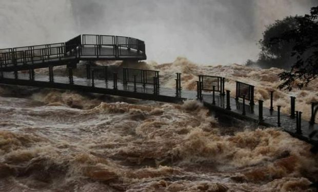 Alerta en el litoral por la crecida del Paraná