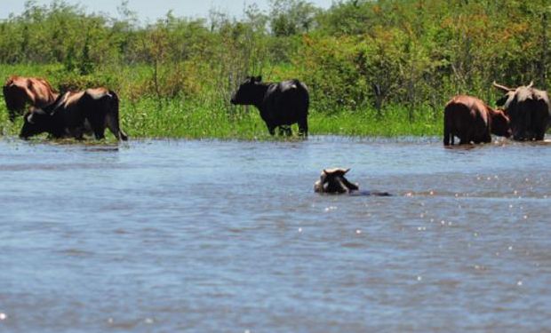 Aumentaron las reservas de agua hasta superar la capacidad de absorción de los suelos.