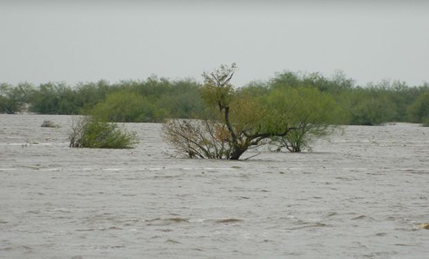 Según las estimaciones, se espera que se mantengan altos los niveles de los ríos y se podrían llegar a generar inundaciones por desborde.