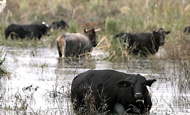 Contingencia por la crecida del Paraná