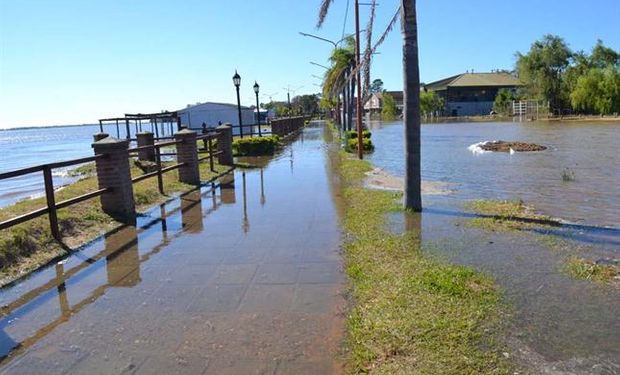 "Llegado el pico va a tardar un par de meses en bajar el agua y las consecuencias van a perdurar", Raúl Rainone.