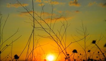 Crecimiento rápido de las temperaturas