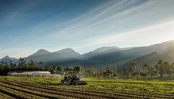 Santa Catarina lança R$ 1 bi em crédito para impulsionar o agro