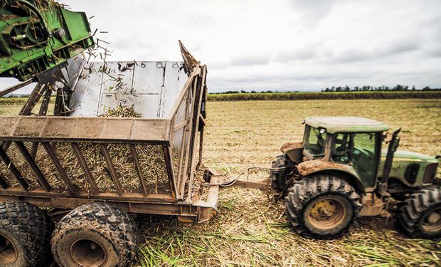 Título de crédito agropecuario: el instrumento que se discute en el Congreso para financiar a las economías regionales