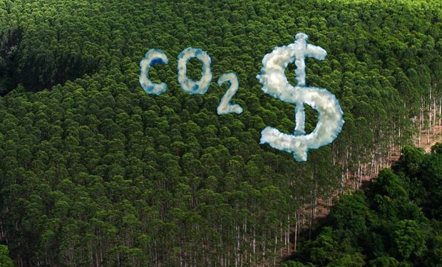 Pegada ou Crédito de Carbono?