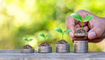 Desembolso do crédito rural aumenta 15% em cinco meses do Plano Safra