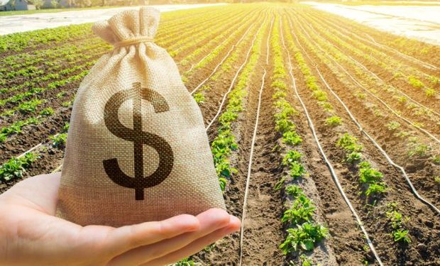 Crédito rural de R$12 bilhões atrasa e produtores ficam na mão