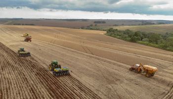 MP amplia renegociação e inclui financiamentos de custeio da safra 2024/25