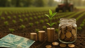 Crédito rural recua 16% no semestre e soma R$ 83 bilhões no Brasil