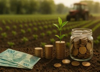 Crédito rural recua 16% no semestre e soma R$ 83 bilhões no Brasil