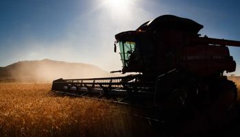 Desembolso de crédito rural sobe 16% em seis meses do Plano Safra
