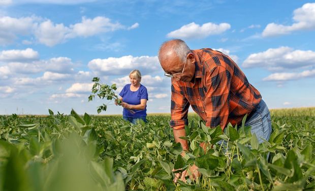 Crédito foi pedido em favor do Ministério da Agricultura, Pecuária e Abastecimento. Foto: Governo.