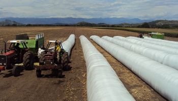 Buscan crédito para retener la cosecha hasta el cambio de gobierno
