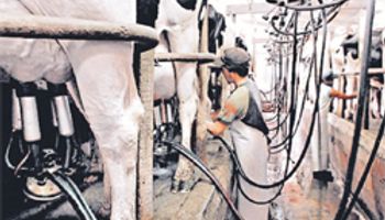 Fondos de la Nación para el sector lácteo