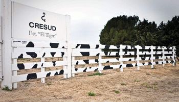 Cresud compró un campo de 1200 hectáreas productivas: cuánto pagó y dónde está