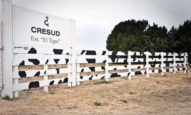 Cresud compró un campo de 1200 hectáreas productivas: cuánto pagó y dónde está