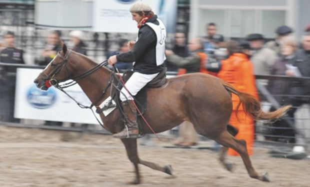 La cría de caballos que no son pura sangre no paga impuestos.