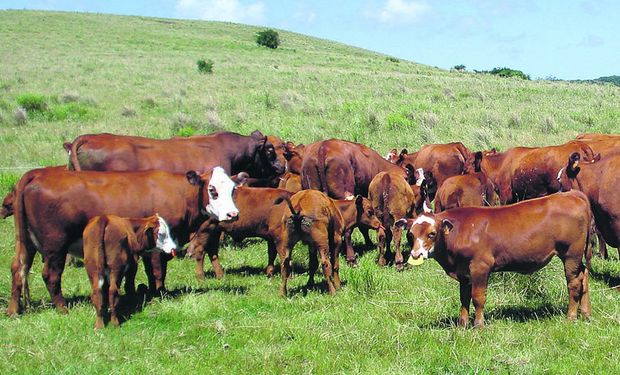 Entre los principales cometidos estaba el mejorar los niveles de producción sin deteriorar los recursos naturales.