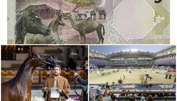 Santiago Fornieles, el argentino que cuidó al "Messi" de los caballos de Qatar: las anécdotas de trabajar para la familia real