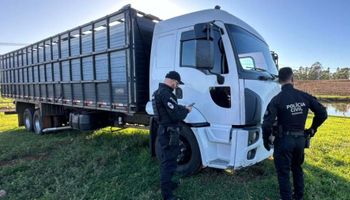 Crimes no agro: operações em MT e PR miram desvio milionário de grãos e furtos de gado