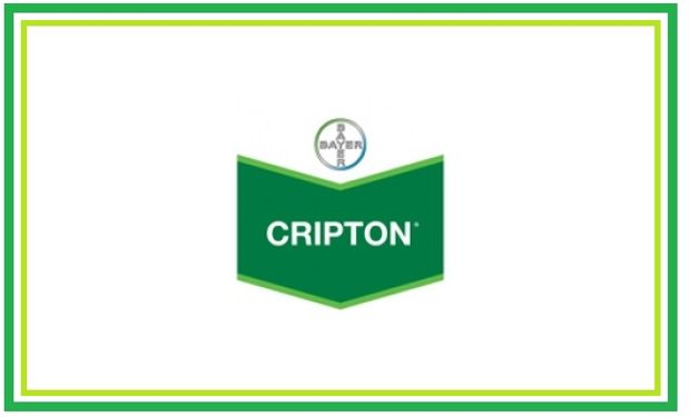 Cripton ofrece más seguridad por ser un fungicida banda verde.