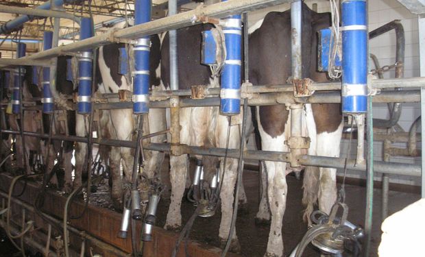 La baja del precio de la leche en tranquera de tambo amenaza con profundizarse.