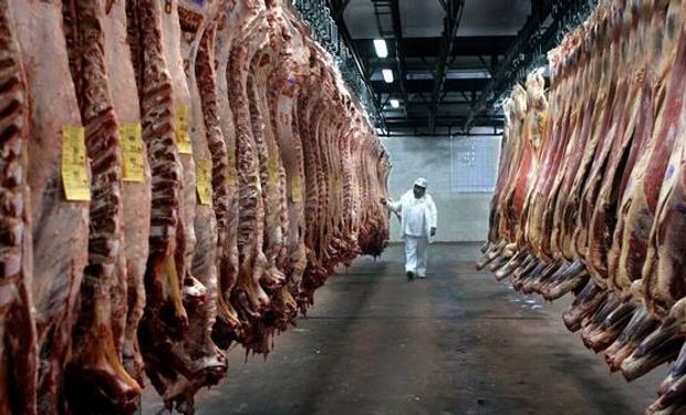 La situación del sector de la carne viene en detrimento desde hace años y las perspectivas no son las mejores.