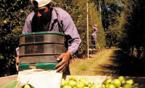 Se calcula que se perdieron 2.200 productores desde 2015.