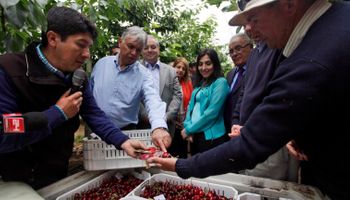 Chile genera más divisas con las frutas que Argentina con el maíz
