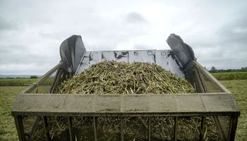 Productores de bioetanol piden medidas urgentes: “Esta industria está al borde del colapso"