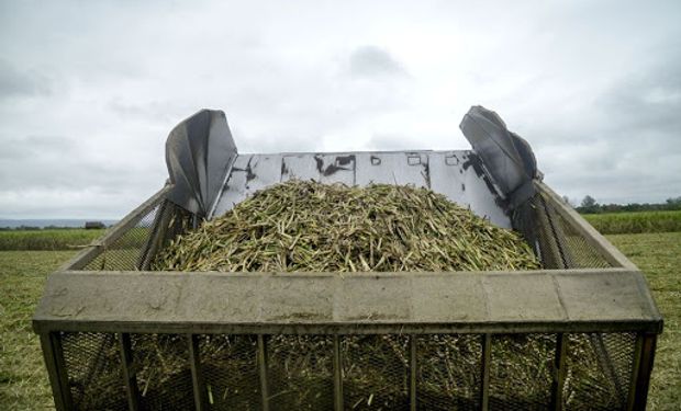 Productores de bioetanol piden medidas urgentes: “Esta industria está al borde del colapso"