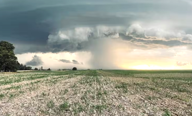 Por qué alertan que es crítica la situación del campo: "Nos han dejado con la soga al cuello"