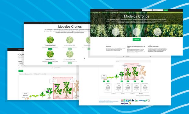 Gratuita y amigable: cómo funciona Cronosoja, la herramienta que ayuda a decidir la fecha de siembra ideal de la soja